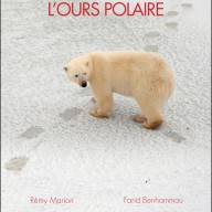 Géopolitique de l'ours polaire