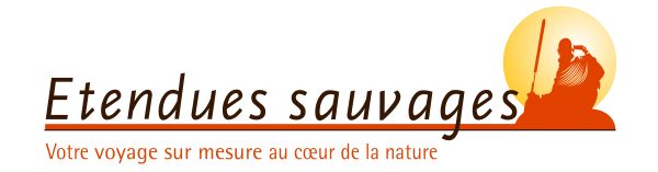 Logo Esauvages lettres marrons en longueur sur fond transparent