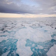 Dernières mauvaises nouvelles de la banquise arctique