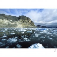 Etés chauds au Svalbard